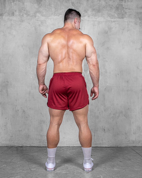 LIFTING SHORTS – MESH / RED